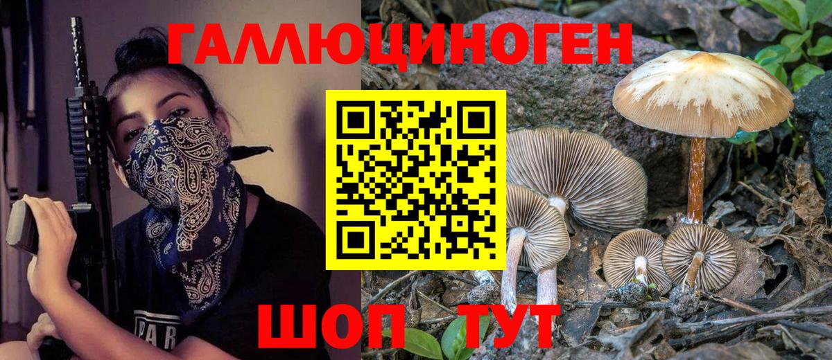 Галлюциногенные грибы Magic Shrooms  цена наркотик  Вышний Волочёк  Вход с VPN 